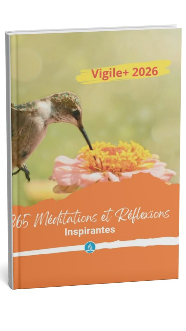 Vigile+ 2026